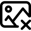 Director Photo